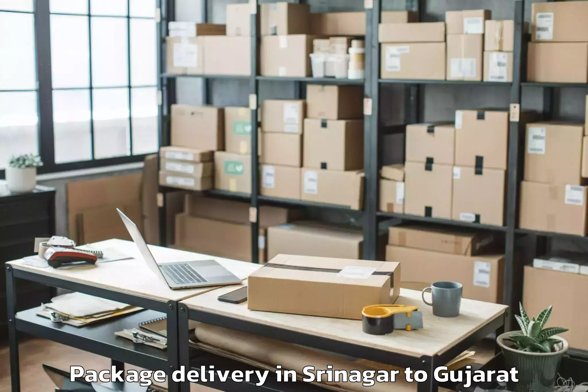 Trusted Srinagar to Saurashtra University Rajkot Package Delivery